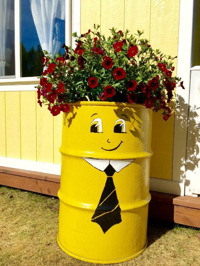 Sunshine Cottage تالكيتنا المظهر الخارجي الصورة